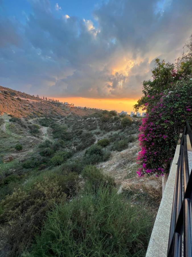 بييا Hillview Apartment المظهر الخارجي الصورة